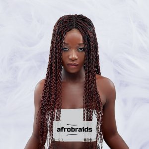 Braided Wig Handmade Spiral - Spiral Twist Wig - Black and Red Wine